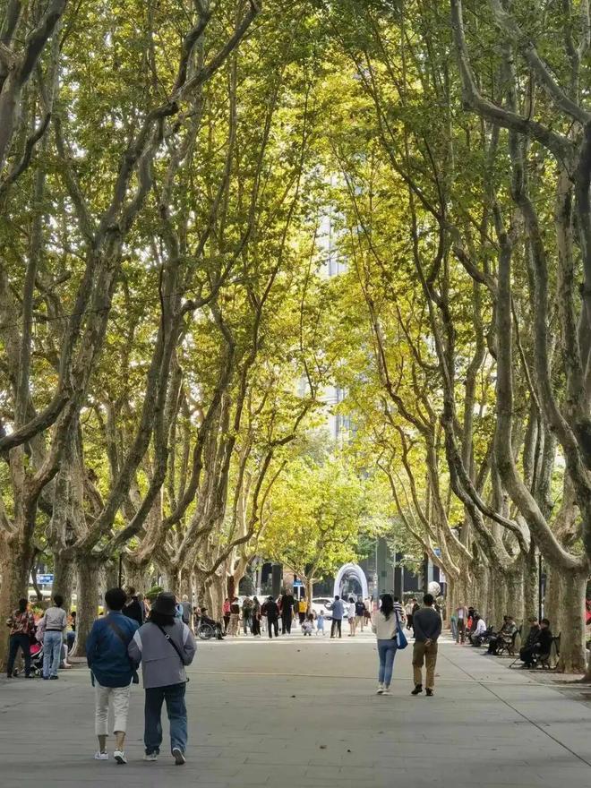 网站-(2025)最新房价＋户型＋配套AG真人app百度热搜：萃屿原墅售楼处(图21)